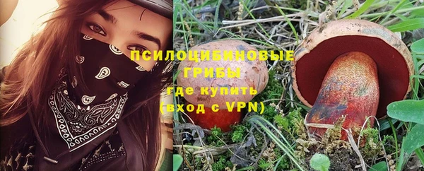 прущая мука Арсеньев