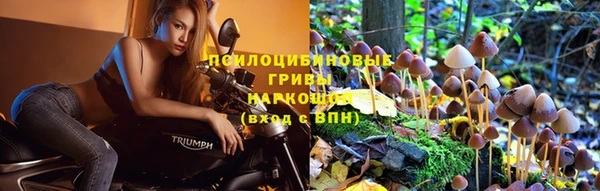 прущая мука Арсеньев