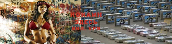 тгк Аркадак