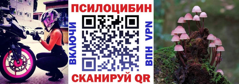 сколько стоит  МЕГА ТОР  Псилоцибиновые грибы MAGIC MUSHROOMS  Черкесск 